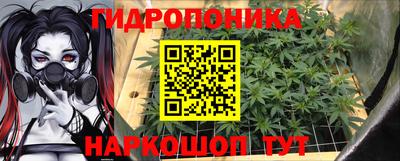 шишки Жуковский