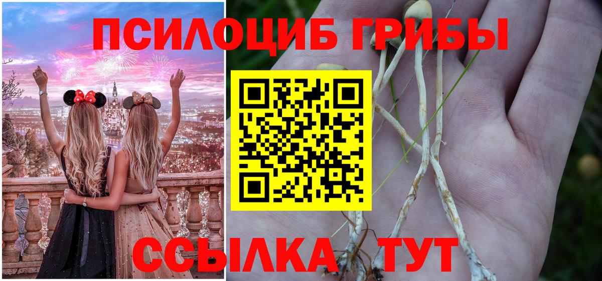 Галлюциногенные грибы мицелий Ишимбай