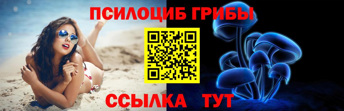 закладка  Псилоцибиновые грибы мицелий  Вход с VPN  Галлюциногенные грибы Cubensis  Ишимбай 